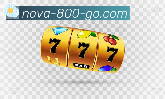 800棋牌官网APP 封面图